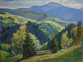 Belchen, Sommer.2010